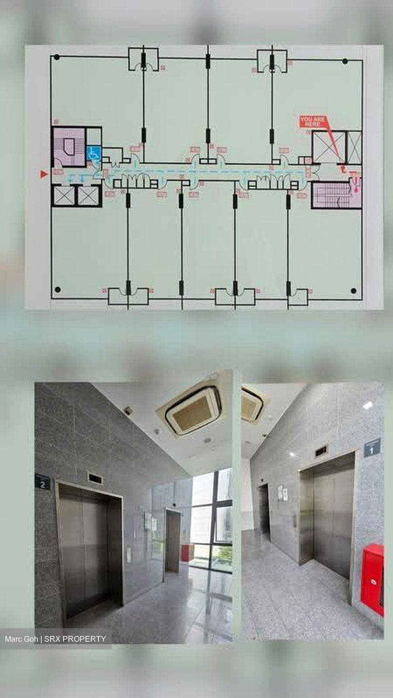 Central-link (D3), Factory #591778381